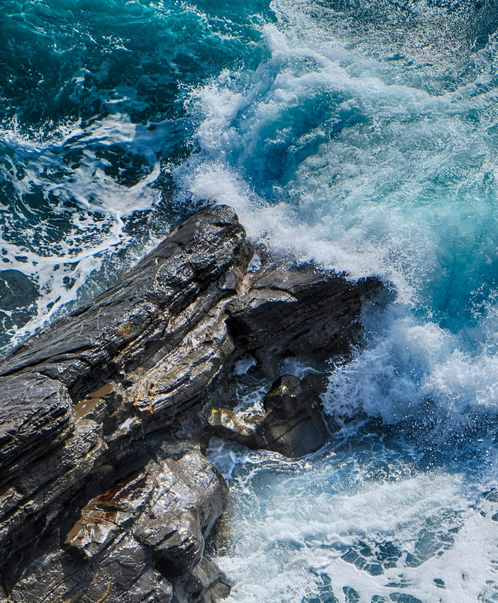 Quand la terre et la mer se rencontrent, Ines soutient la cause