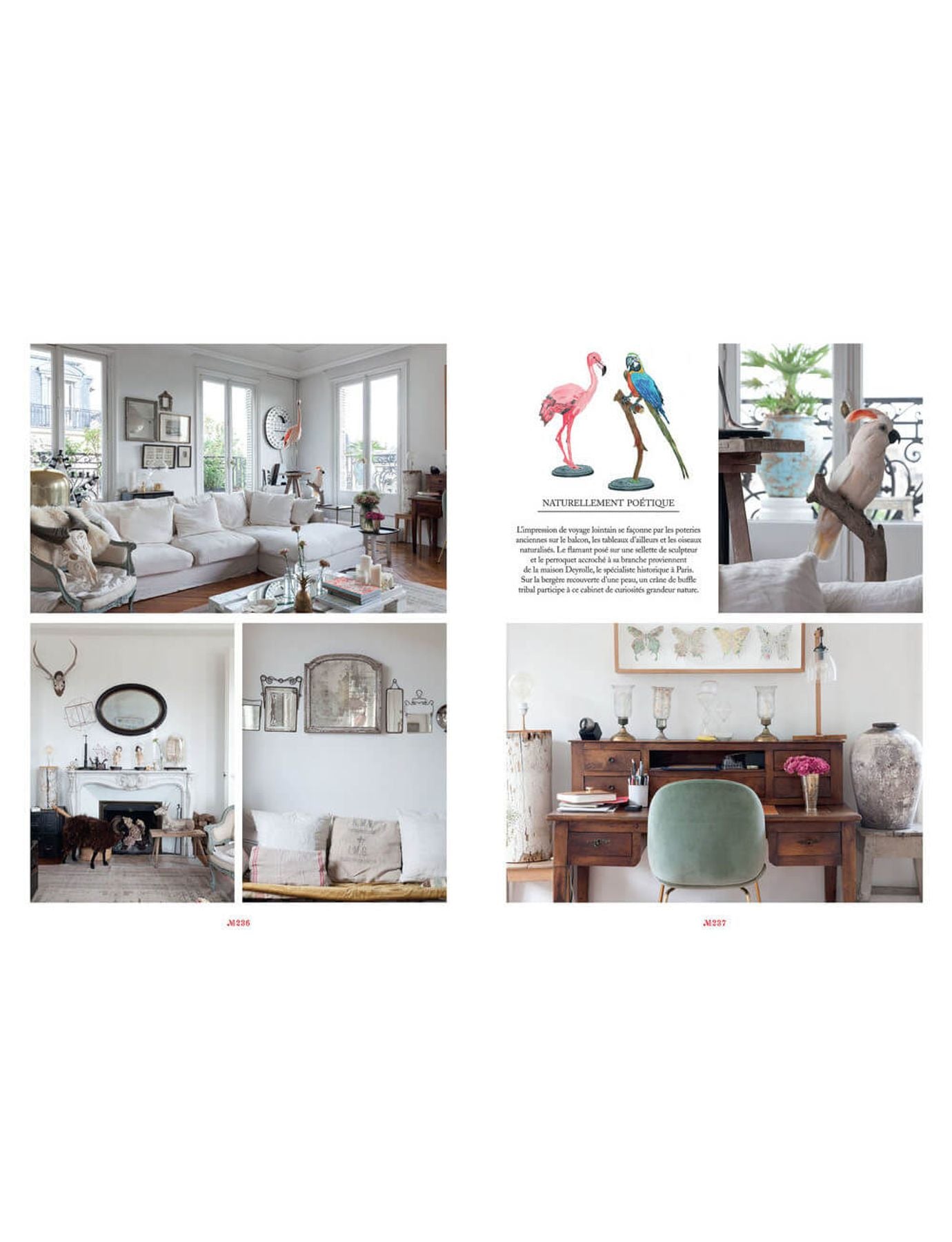 "Maison Parisian Chic At Home" Book in English, Livre en Anglais