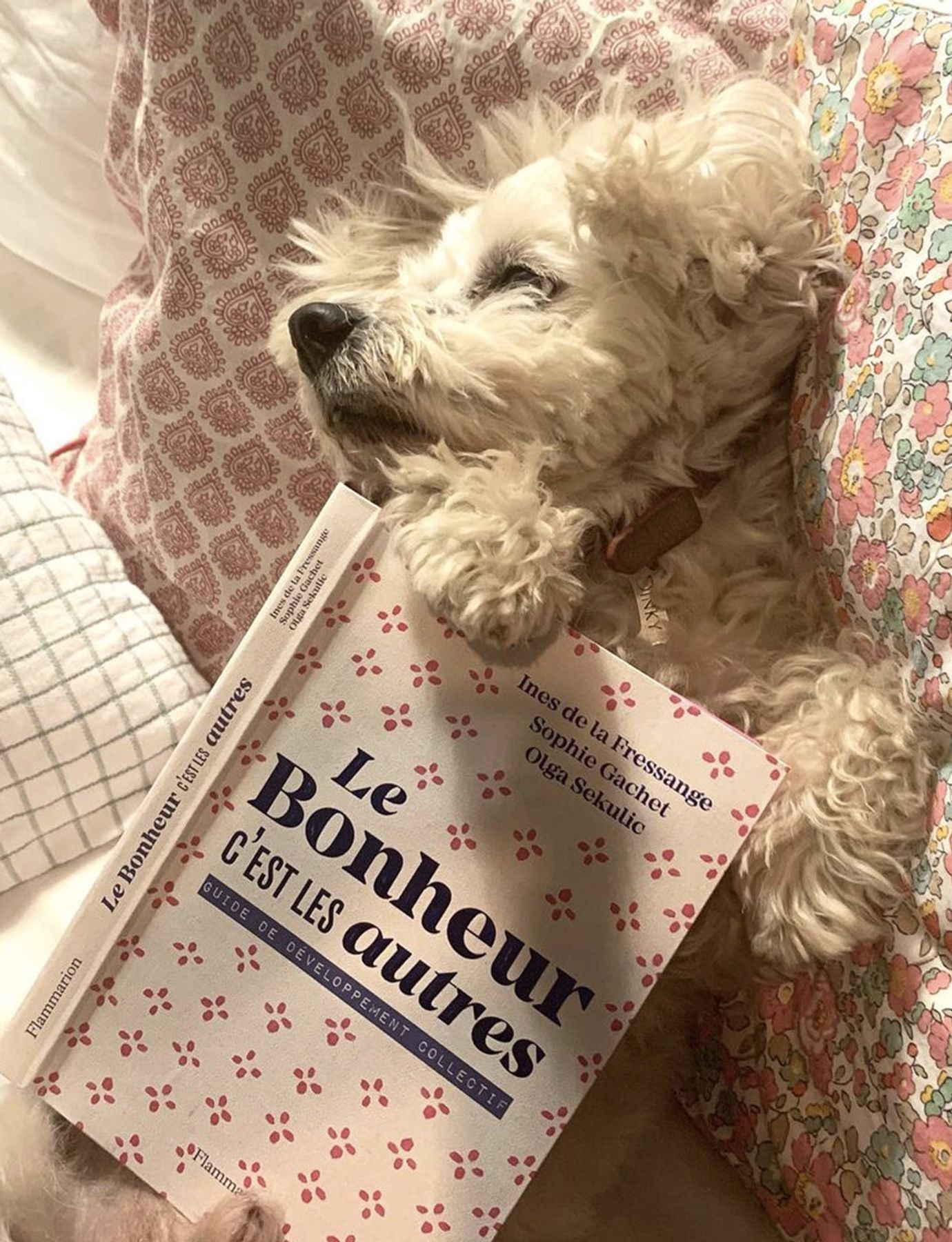 Livre Le Bonheur c'est les autres