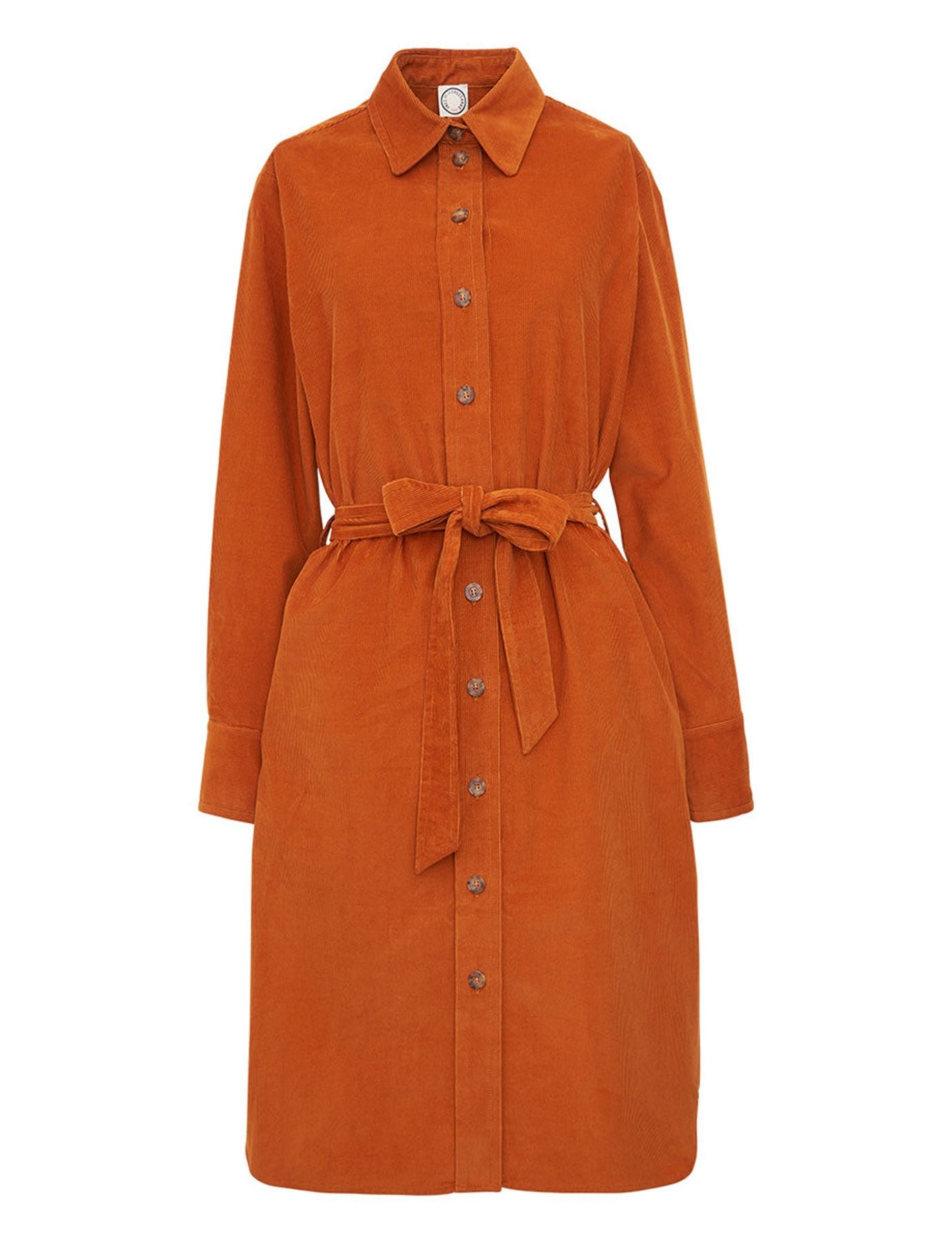 Amour orange velvet dress